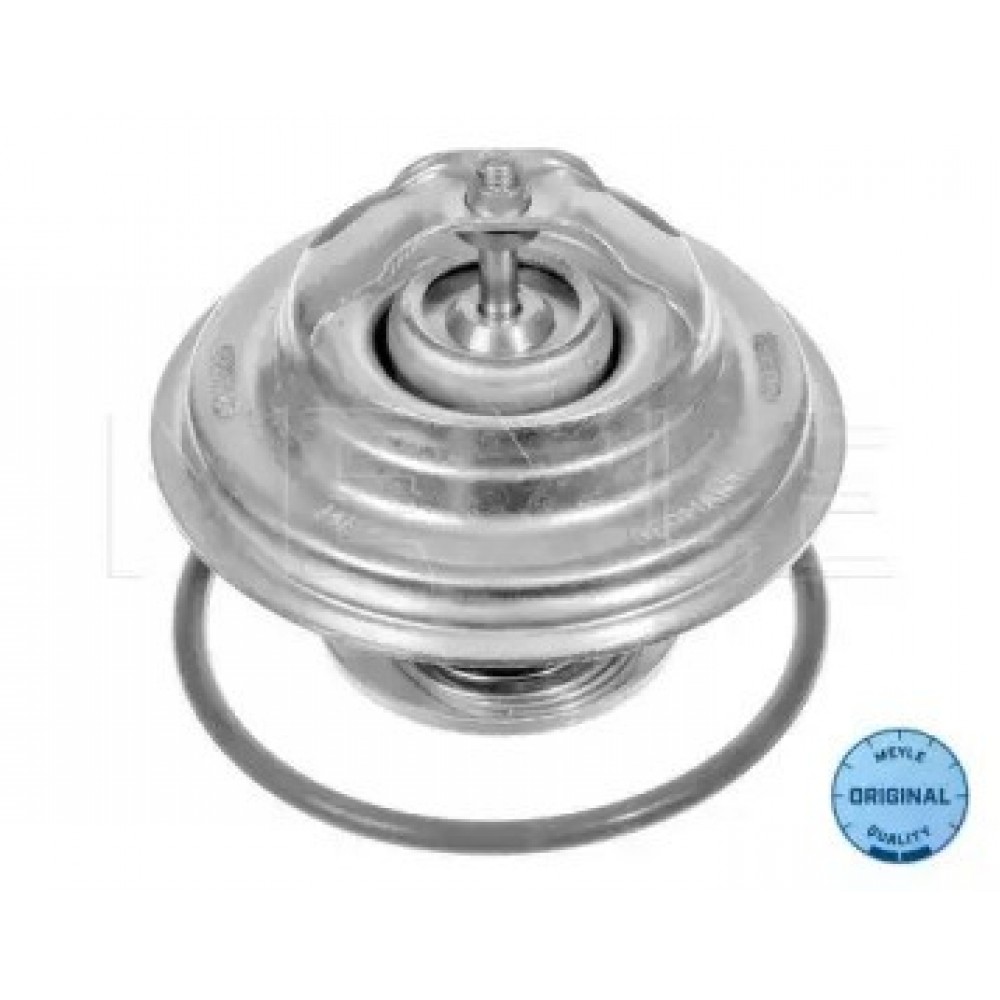 TERMOSTATAS AUDI 100/A4/A6,VW PASSAT,T4