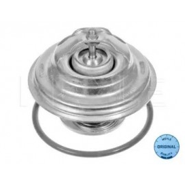 TERMOSTATAS AUDI 100/A4/A6,VW PASSAT,T4