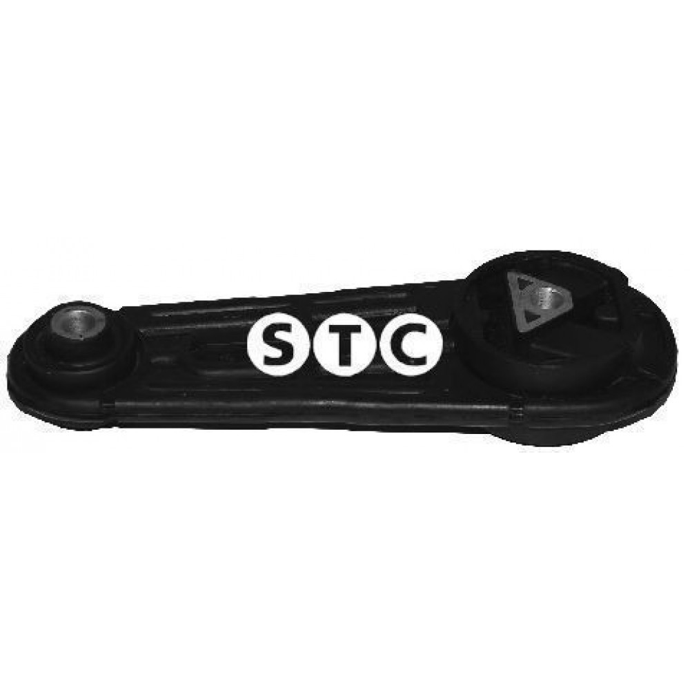 PAGALVĖ DĖŽĖS RENAULT MEGANE SCENIC 03-