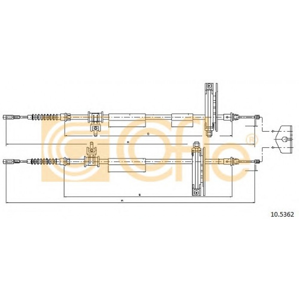 TROSAS RANK.STAB.FORD FOCUS 10/01-