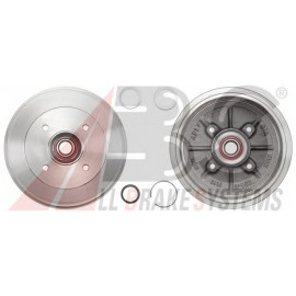 STABDŽIŲ BŪGNAS CITROEN,PEUGEOT