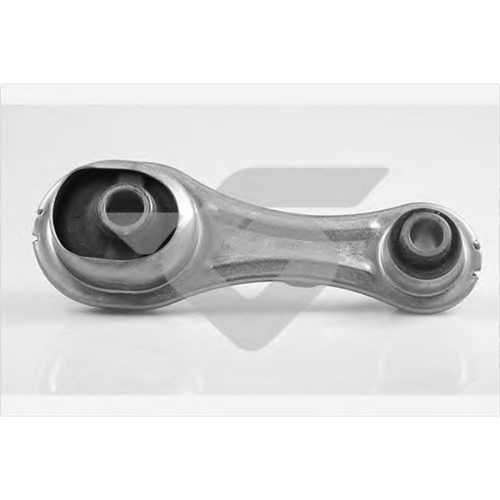 PAGALVĖ DĖŽĖS DACIA