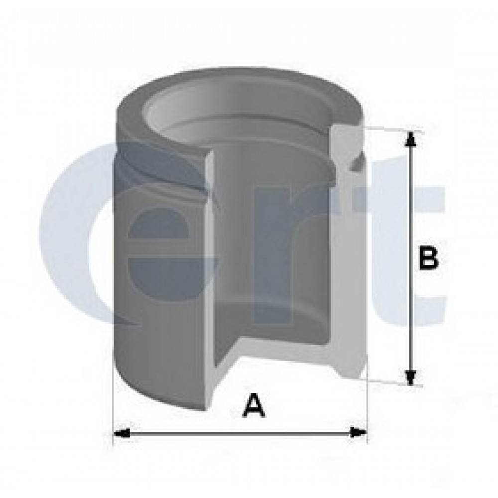 STABDŽIŲ SUPORTO STŪMOKLIS AUDI,VW,ŠKODA