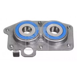 GUOLIS GREIČIŲ DĖŽĖS