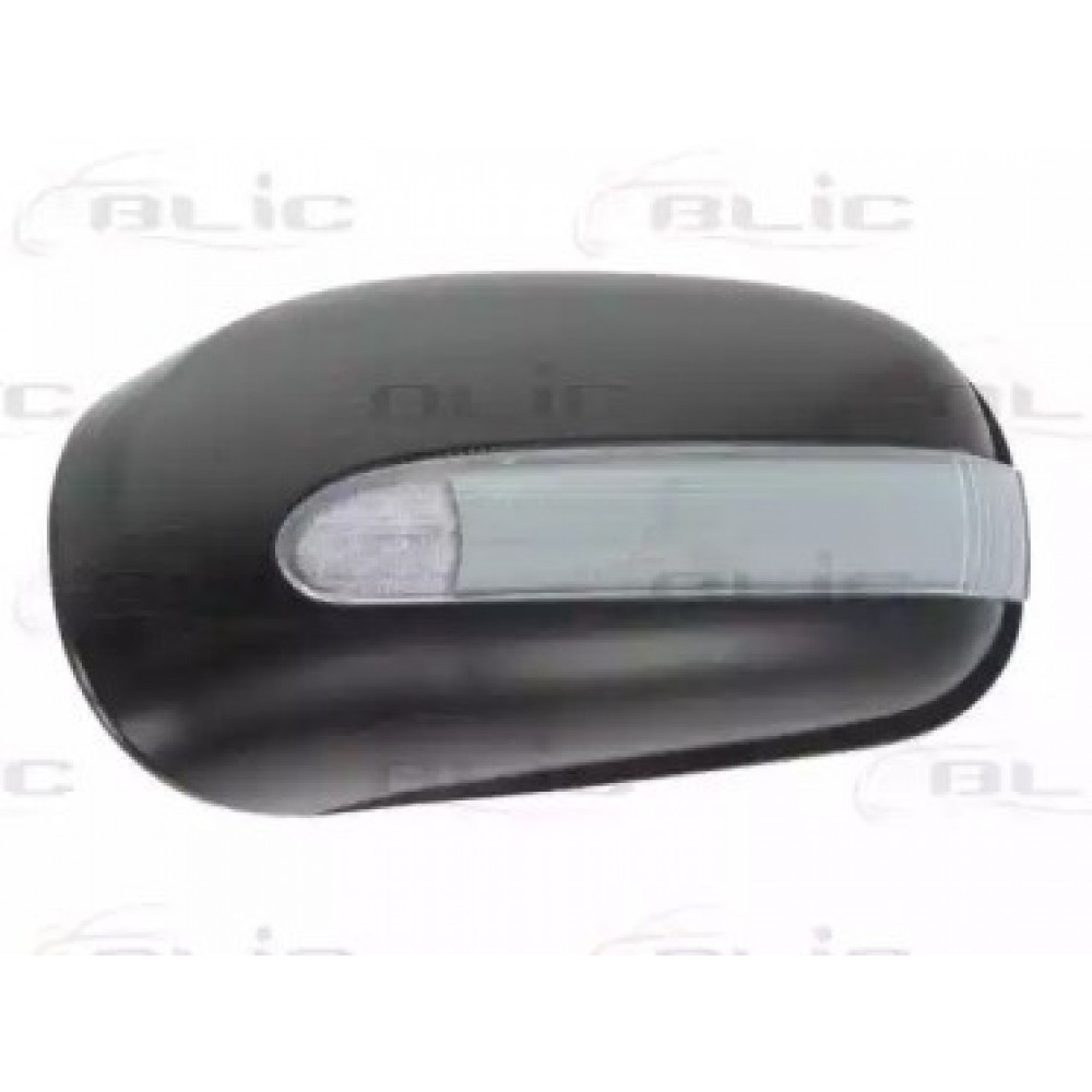 VEIDRODŽIO KORPUSAS