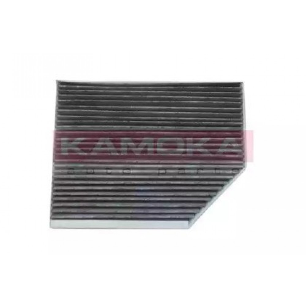 SALONO FILTRAS AUDI A4/A6 07-/Q5 08-