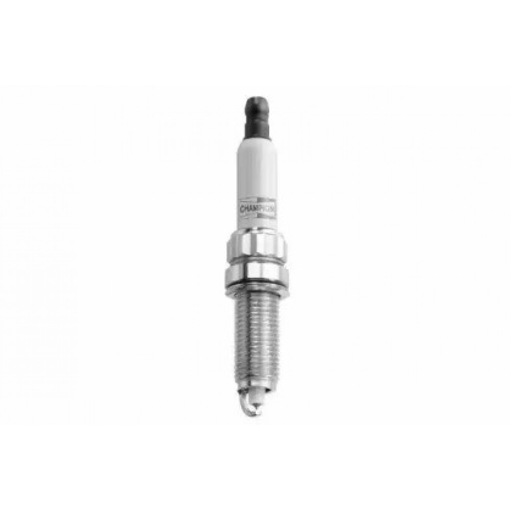 ŽVAKĖ DEGIMO CHAMPION