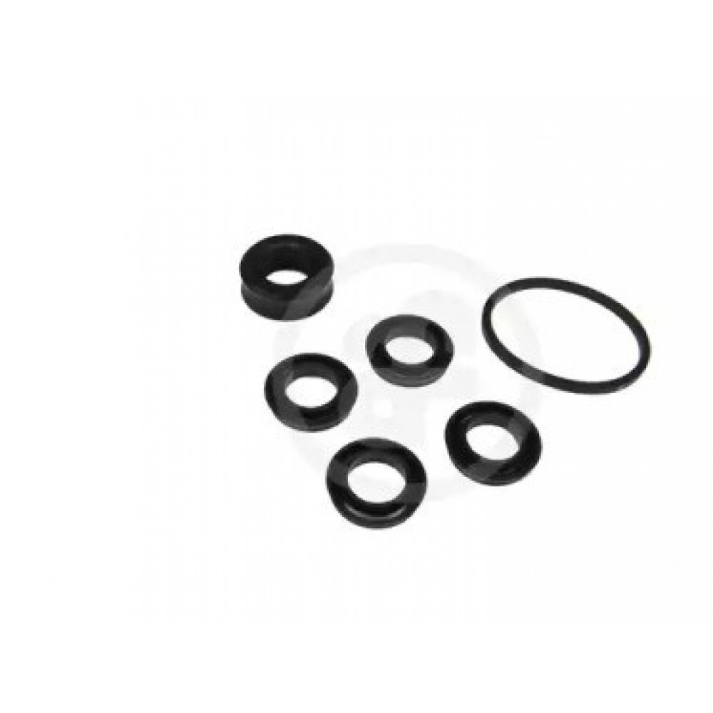 STABDŽIŲ CILINDRIUKŲ REMONTINIS KOMPLEKTAS DB W114/11