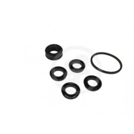 STABDŽIŲ CILINDRIUKŲ REMONTINIS KOMPLEKTAS DB W114/11