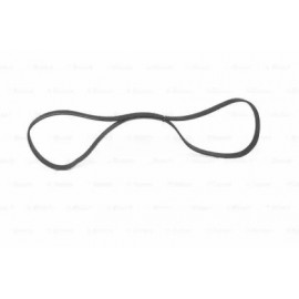 DIRŽAS JUOSTINIS 6PK2203