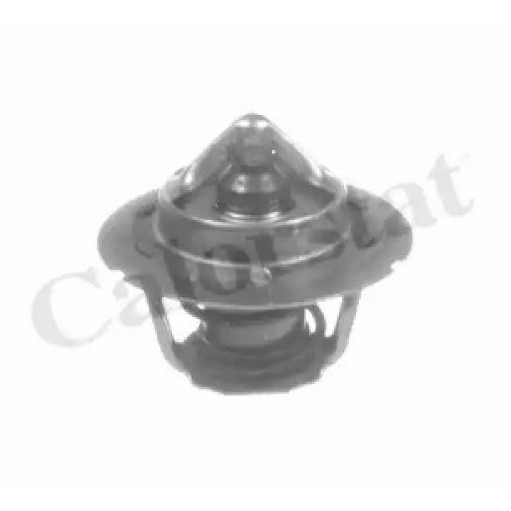 TERMOSTATAS CHRYSLER 91C 1,6-2,0