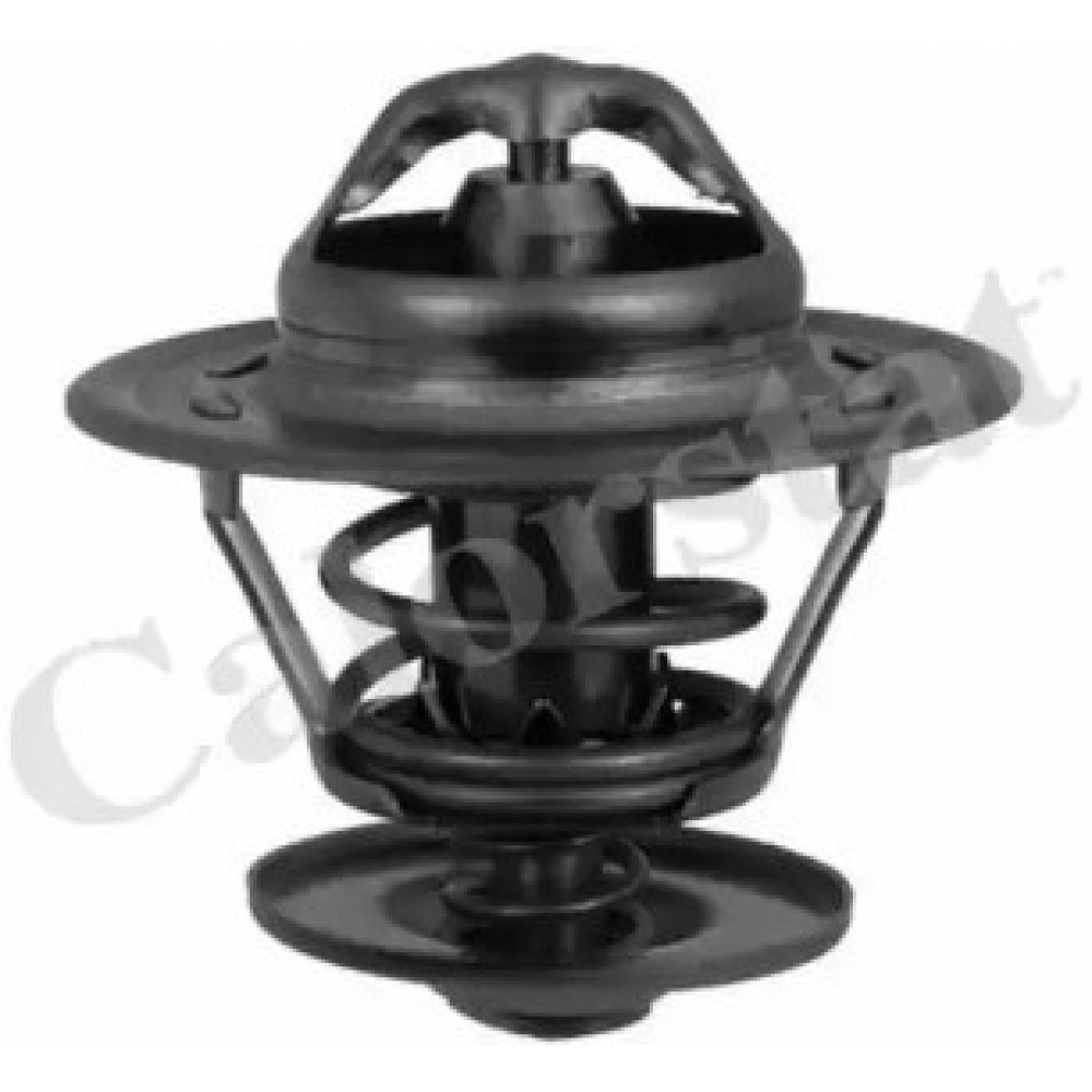 TERMOSTATAS SEAT 82J 2,0 16V