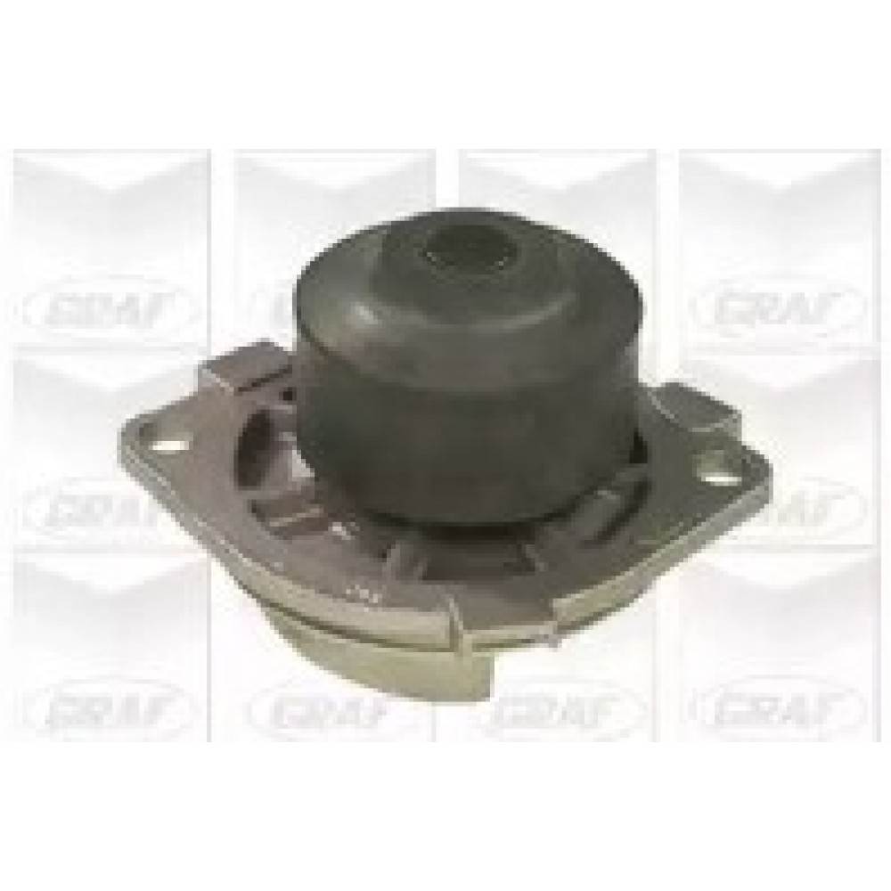 VANDENS SIURBLYS FIAT 1,4 12V BRAVO