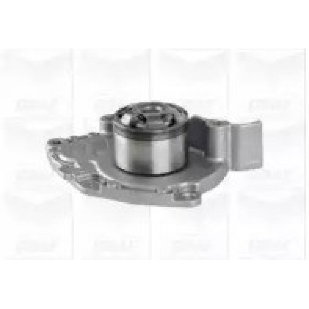 VANDENS SIURBLYS RENAULT 1,9DCI 03-