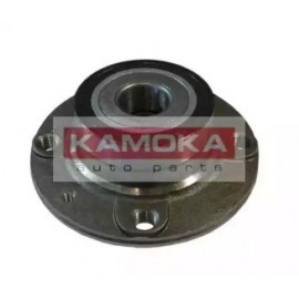 RATO GUOLIO KOMPLEKTAS CITROEN C4 04-, PEUGEOT 307 00-