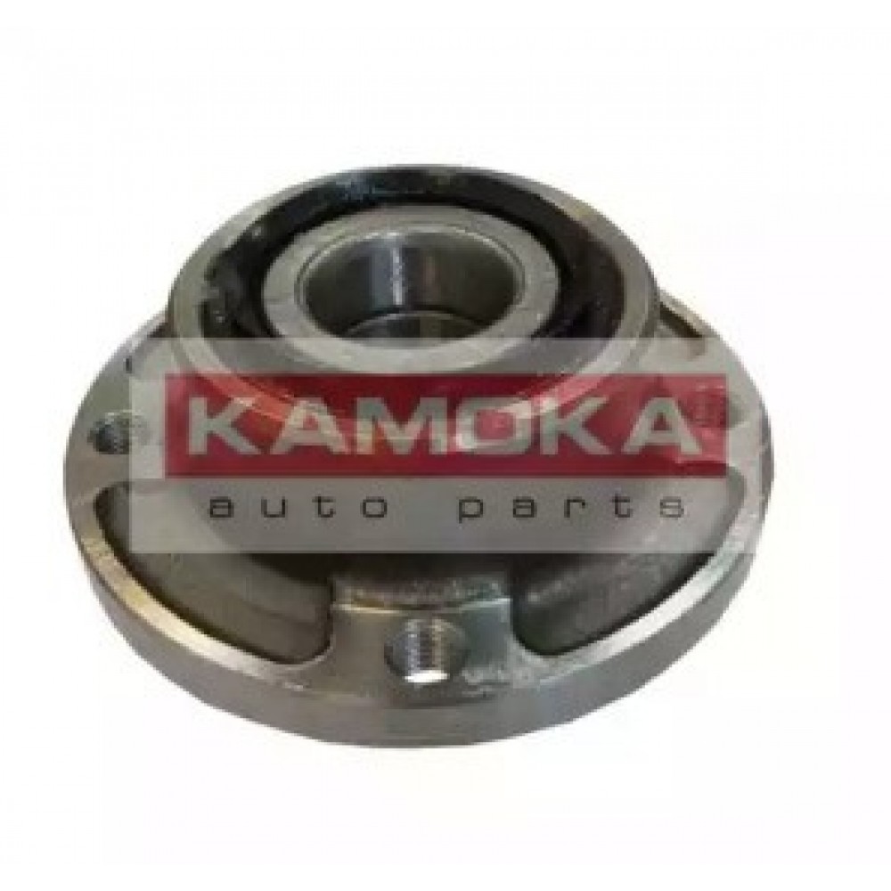 RATO GUOLIO KOMPLEKTAS CITROEN BX 85-99, C15 84-00, PEUGEOT 405 87-96