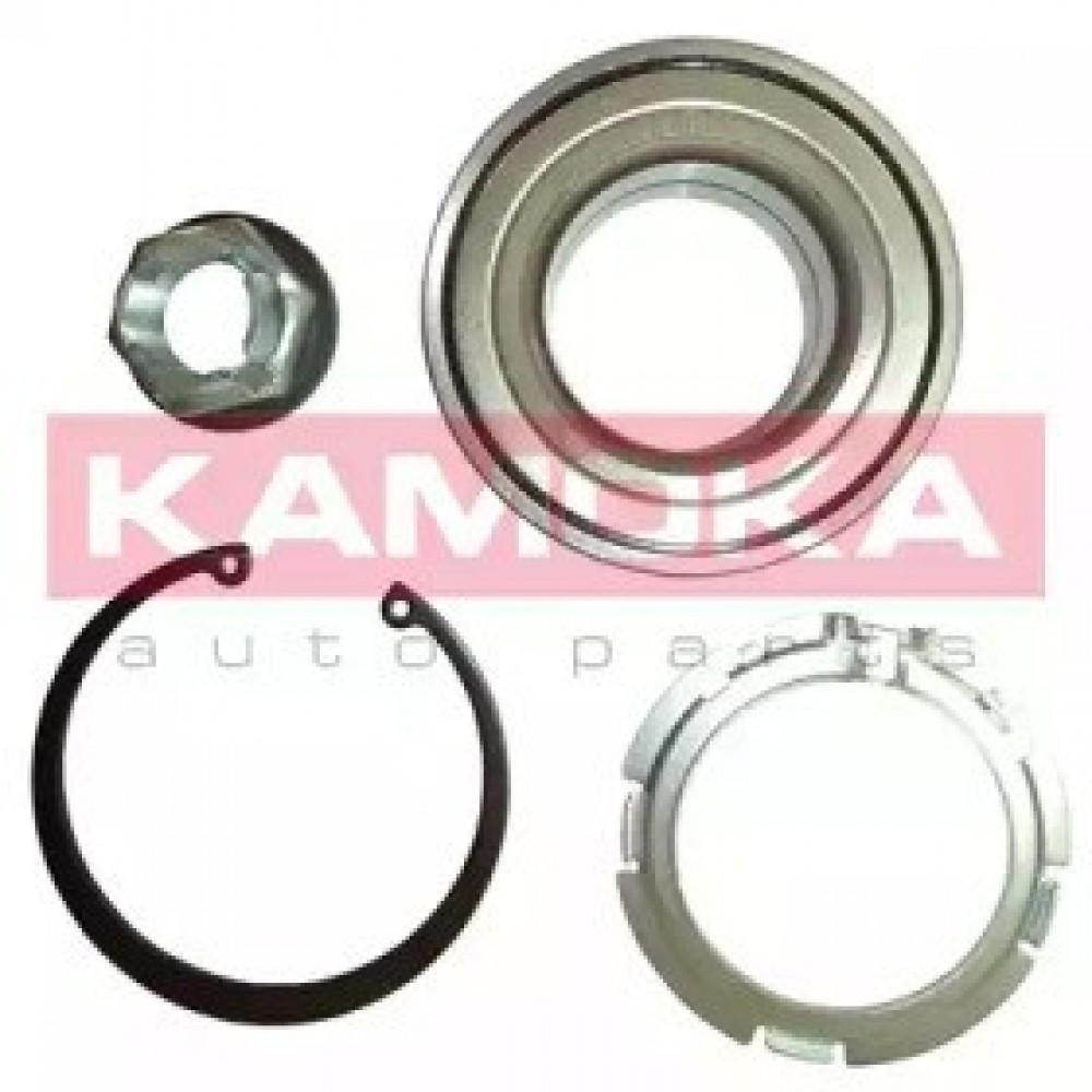 RATO GUOLIO KOMPLEKTAS RENAULT CLIO II 00-02, LAGUNA II/III 01-