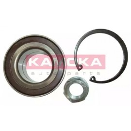 RATO GUOLIO KOMPLEKTAS CITROEN C4 08-, C5 08-, C6 05-, PEUGEOT 308 10-, 407 04-, 508 10-, 607 00-