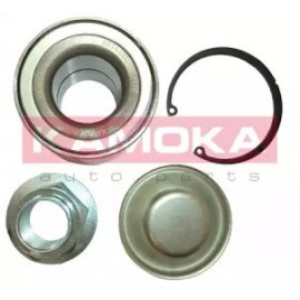 RATO GUOLIO KOMPLEKTAS CITROEN C3 09-, C4 04-, PEUGEOT 207 06-, 208 12-, 307 00-, 2008 13-