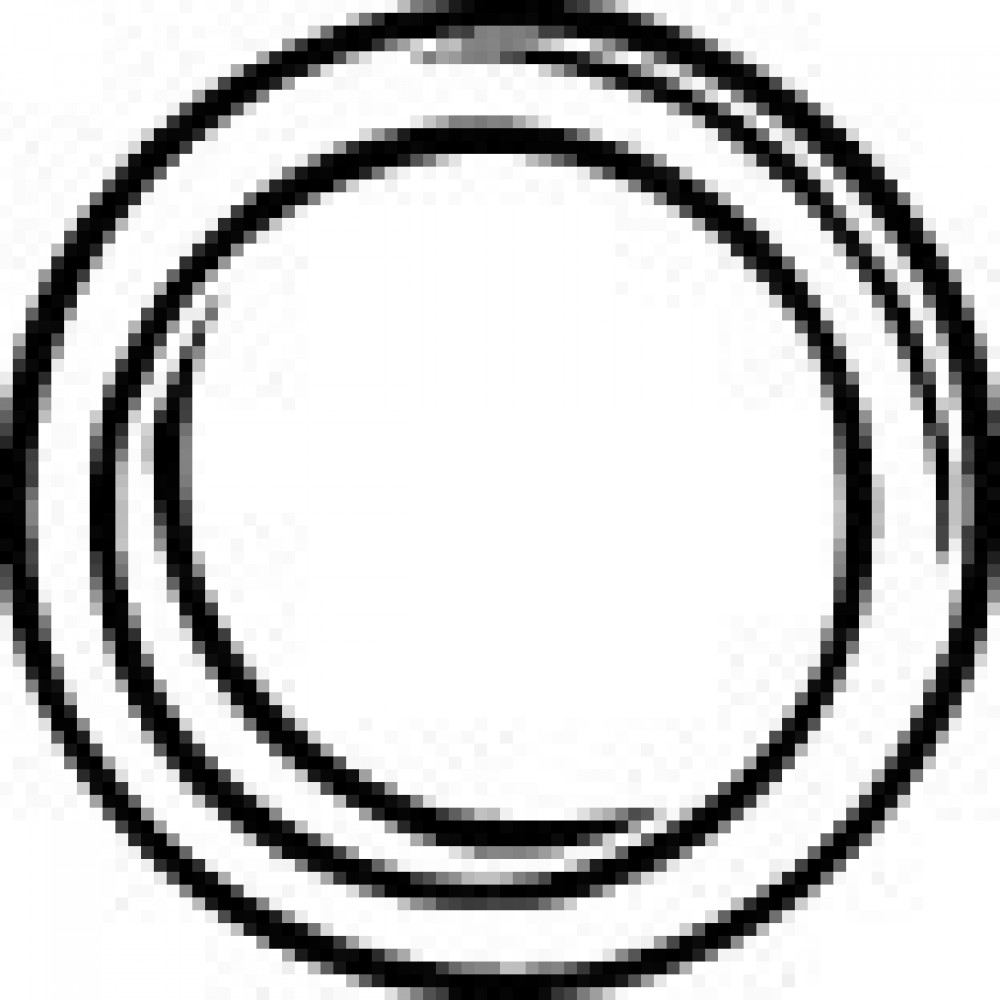 DUSL.ŽIEDAS AUDI 80-100,A6