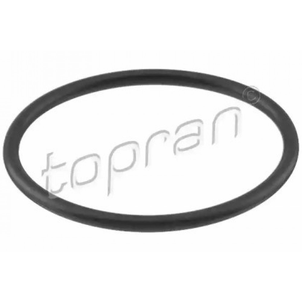 TERMOSTATO TARPINĖ AUDI,VW