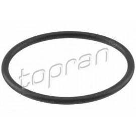 TERMOSTATO TARPINĖ AUDI,VW