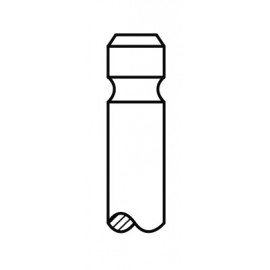 ISR.VOŽ.CITROEN,PEUGEOT 1.6/1.6ALK 08.00-