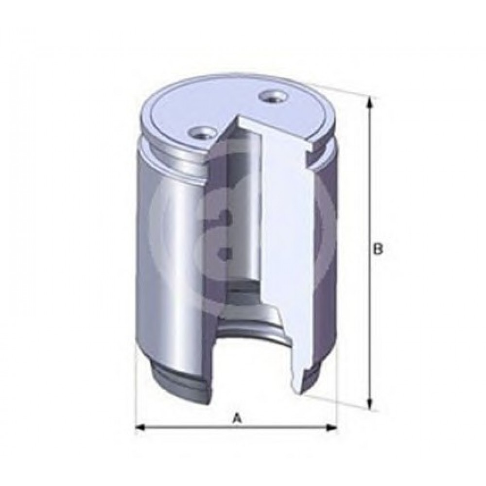 STABDŽIŲ SUPORTO STŪMOKLIS RENAULT GALINĖ AŠIS