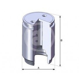 STABDŽIŲ SUPORTO STŪMOKLIS RENAULT GALINĖ AŠIS