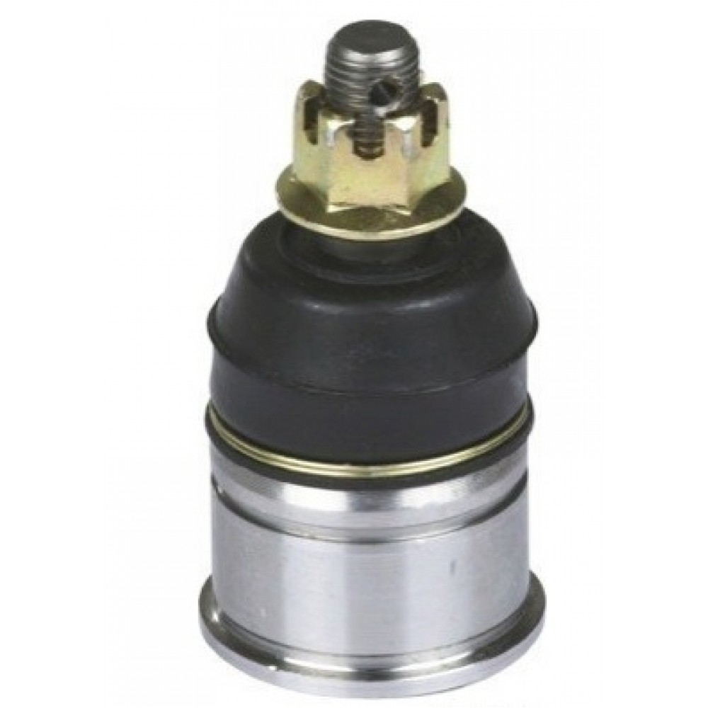 ŠARNYRAS HONDA,ROVER -2005