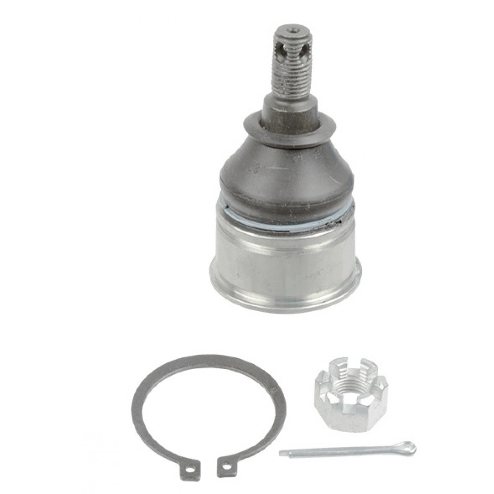 ŠARNYRAS HONDA -2004,,ROVER 600 93-