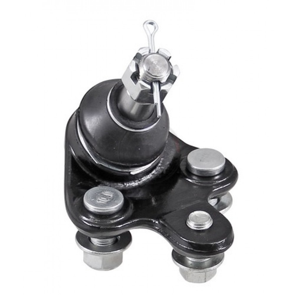 ŠARNYRAS TOYOTA -2020