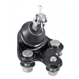 ŠARNYRAS TOYOTA -2020