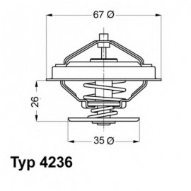 TERMOSTATAS BMW 2.0-2.5 24V M50