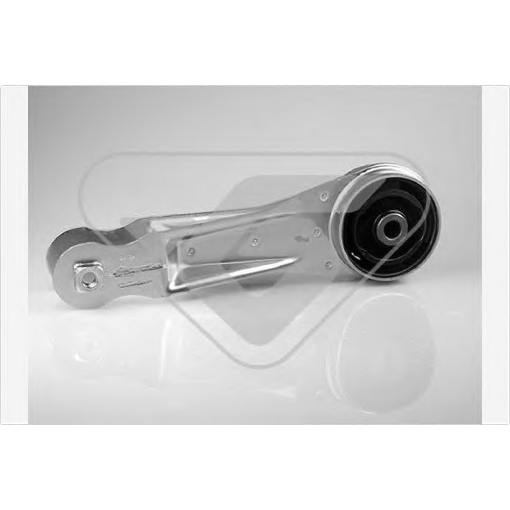 PAGALVĖ VARIKLIO RENAULT MEGANE SCENIC