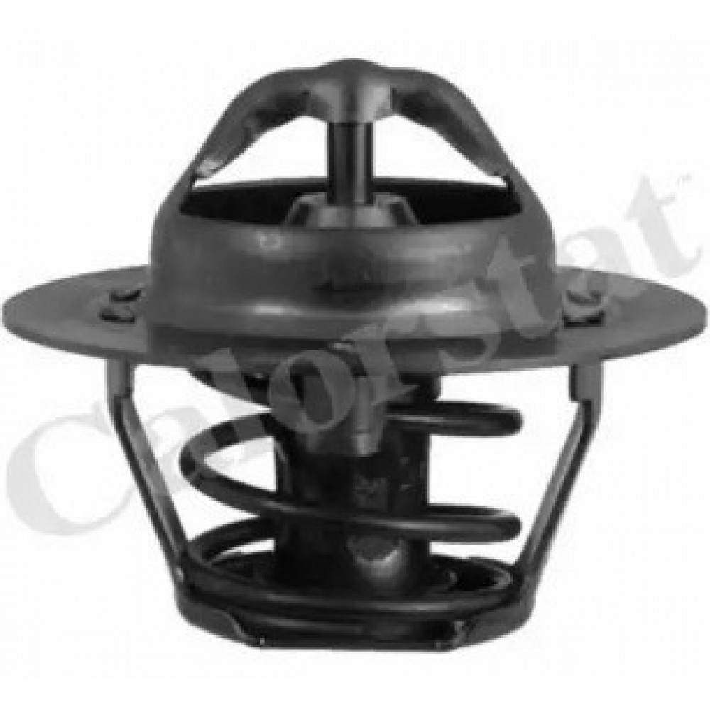 TERMOSTATAS FORD SIERRA 2.0 DOHC