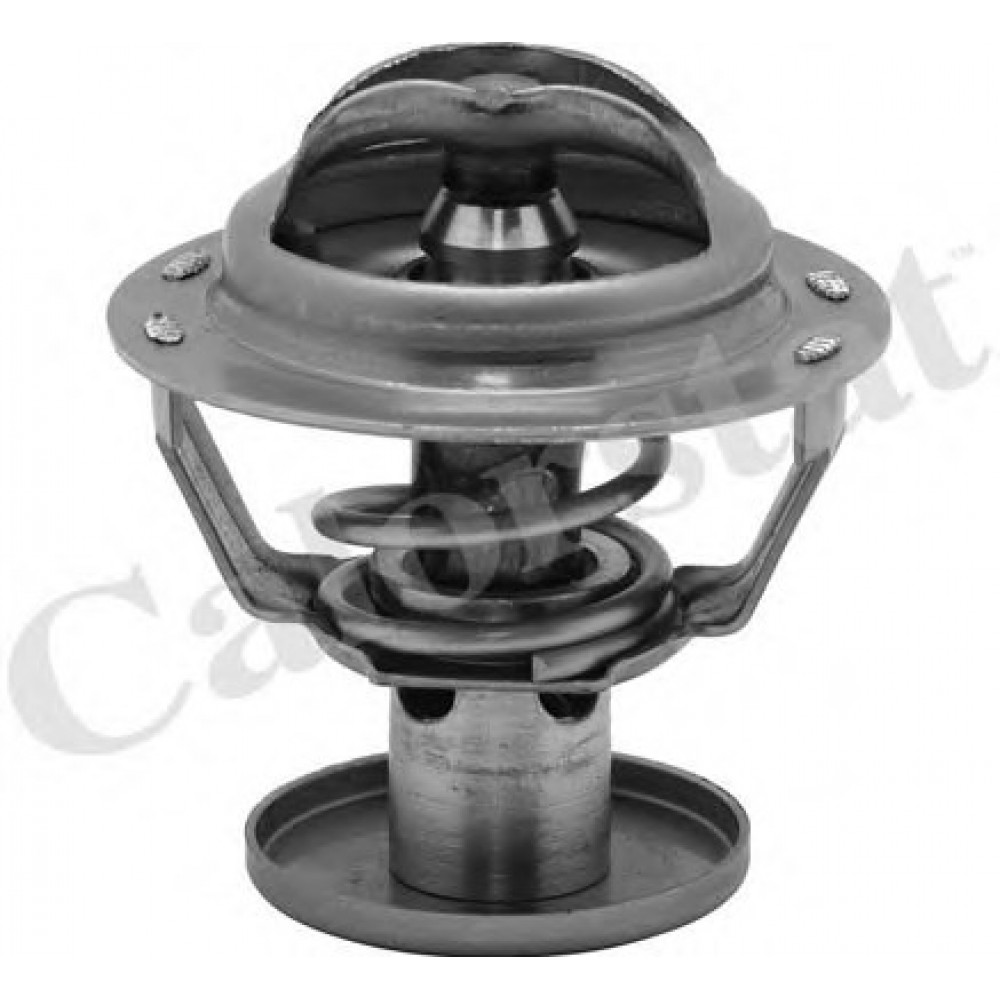 TERMOSTATAS FORD 87C 2,0 16V DI