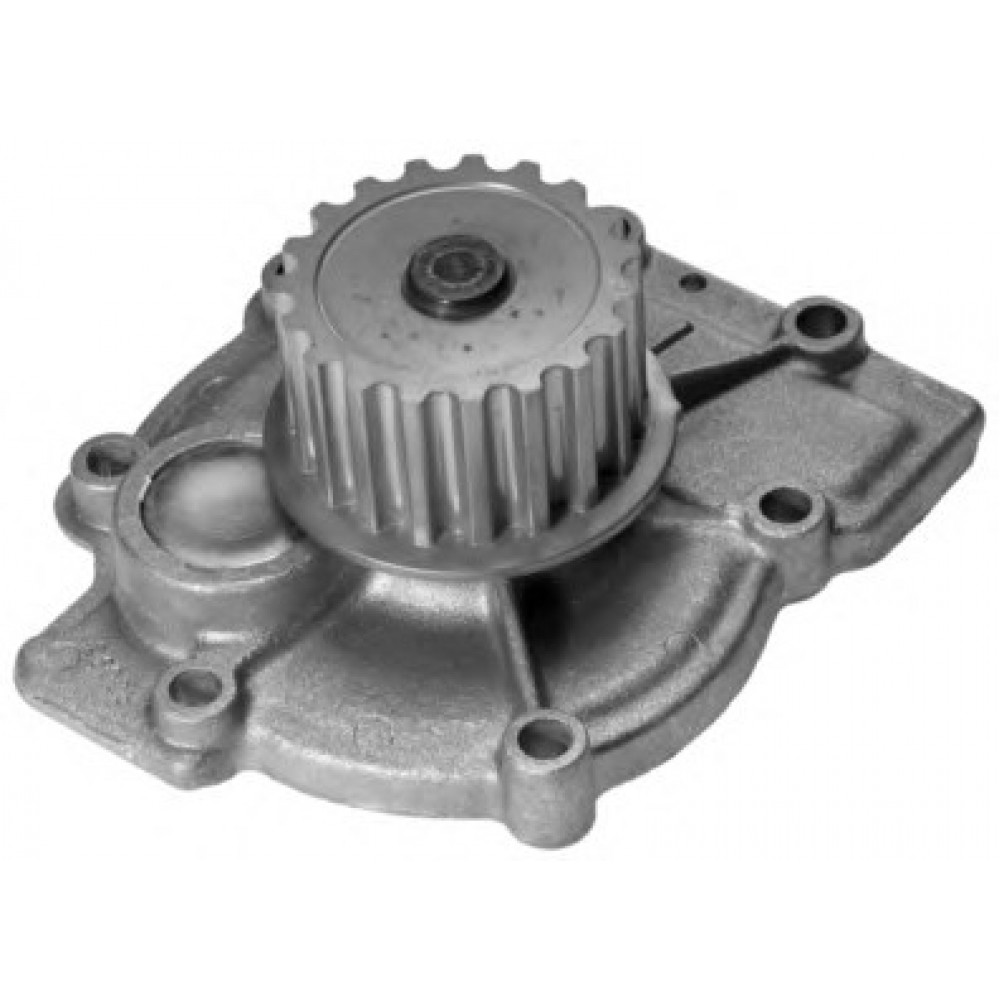 VANDENS SIURBLYS VOLVO 850,RENAULT SAFRANE