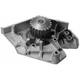 VANDENS SIURBLYS CITROEN,PEUGEOT 605 2.1TD