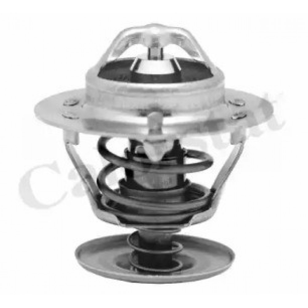 TERMOSTATAS FORD SIERRA,SCORPIO,TRANSIT