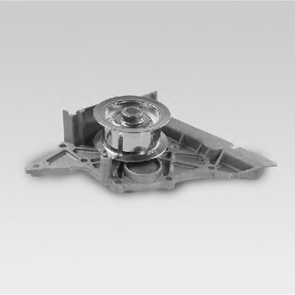 VANDENS SIURBLYS AUDI A6/A8 3.7-4.2 97-