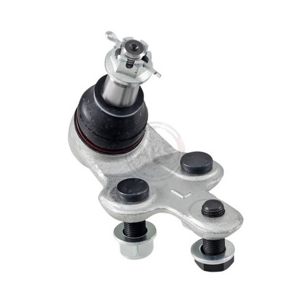 ŠARNYRAS TOYOTA PREVIA 00-,CAMRY 01-