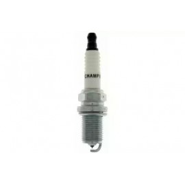 ŽVAKĖ DEGIMO CHAMPION