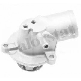 TERMOSTATAS MB W202,W210,W124