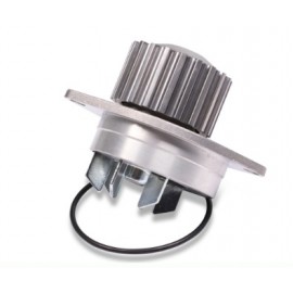 VANDENS SIURBLYS PEUGEOT 106-405,CITROEN