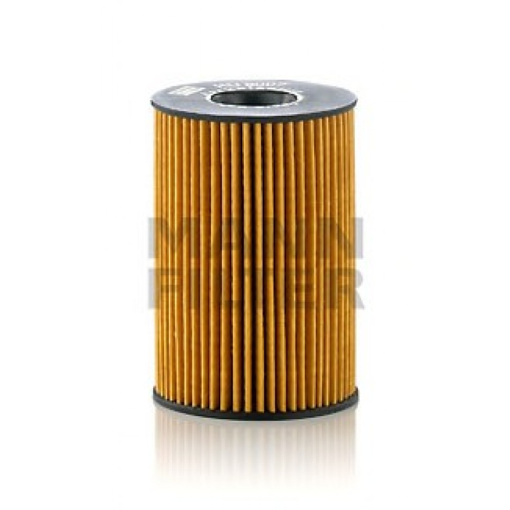 ALYVOS FILTRAS BMW F01/F02/F03/F04/X5/X6