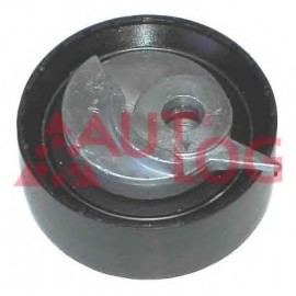 ĮTEMPIMO GUOLIS VW T4 2.5TDI