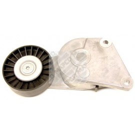 ĮTEMPIMO GUOLIS PEUGEOT 306-806,PARTNER