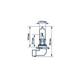 LEMPUTĖ BALTA 12V HB3 60W