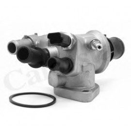 TERMOSTATAS ALFA 88C 2,4JTD